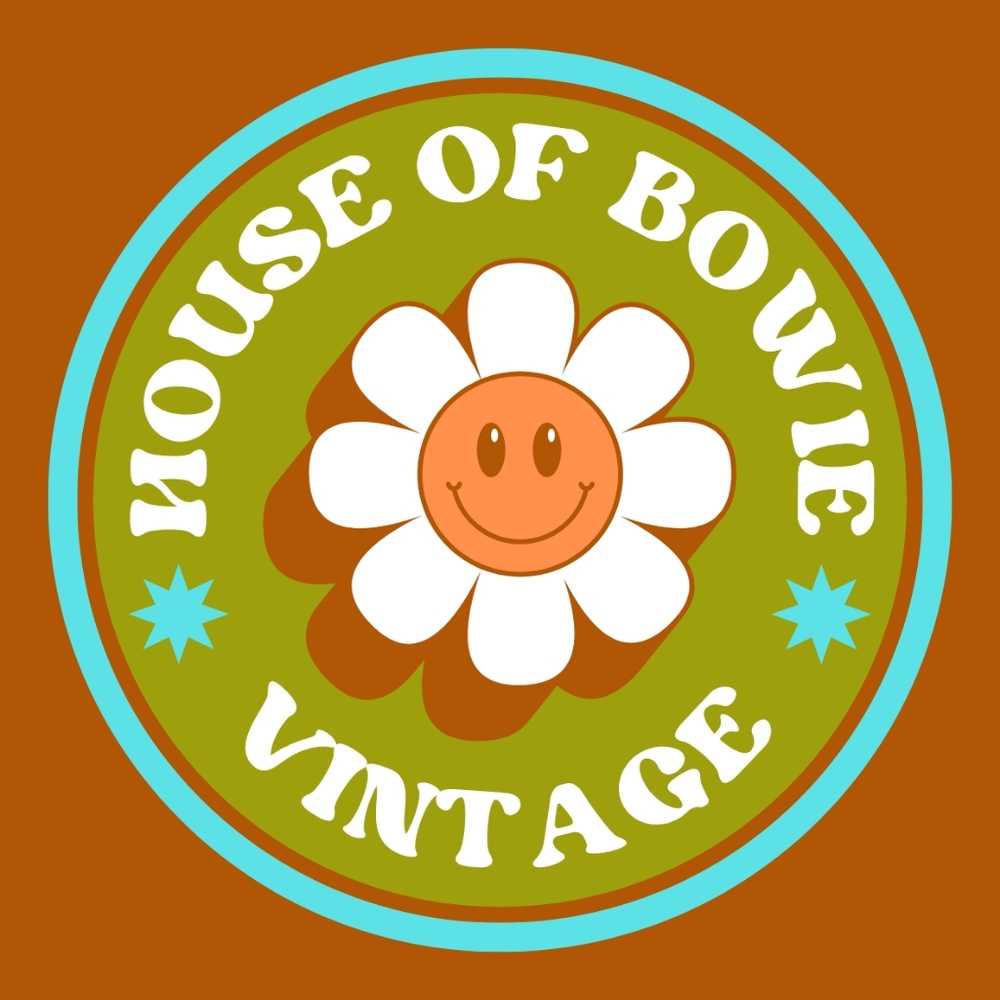 ⚡HOUSE OF BOWIE VINTAGE⚡ Mystery Pull Listing